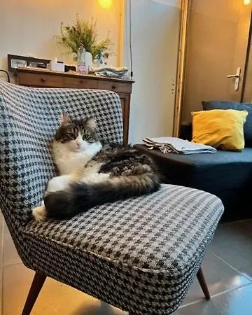 Accommodatie bij particulieren Maison Loft Chez Karyn